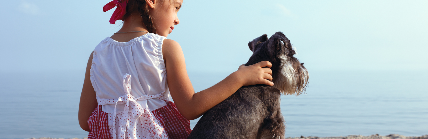 spiagge per animali chioggia v2